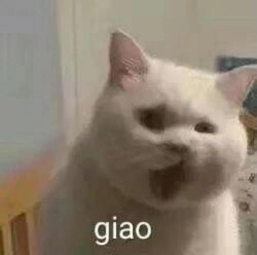歪嘴小猫出处