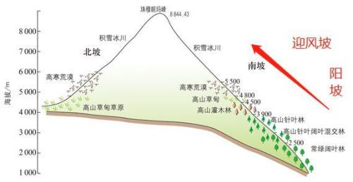 为什么南坡温度比北坡高