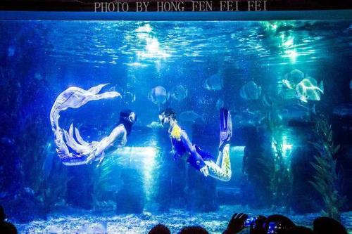 椒江海洋世界春节人多吗