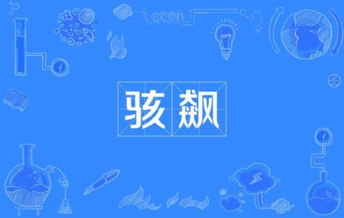 飙是什么意思