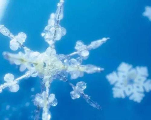 白天拍雪花怎么拍更清晰