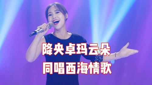 西海情歌含义表达了什么