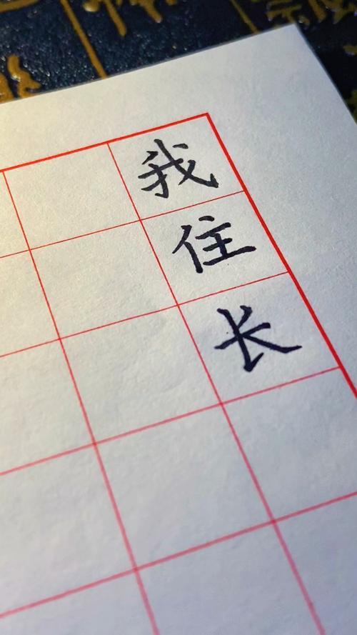 我住长江头，君住长江尾的整首诗