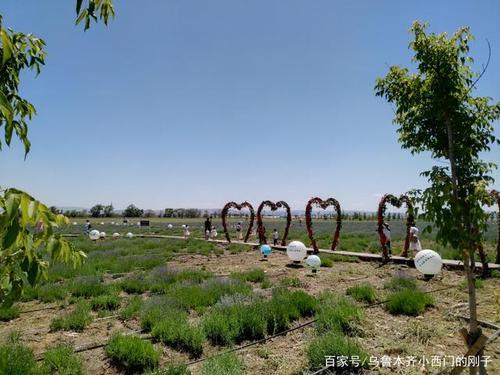 昌吉适合小朋友玩的地方