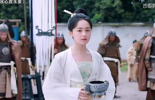 一片冰心在玉壶公主结局