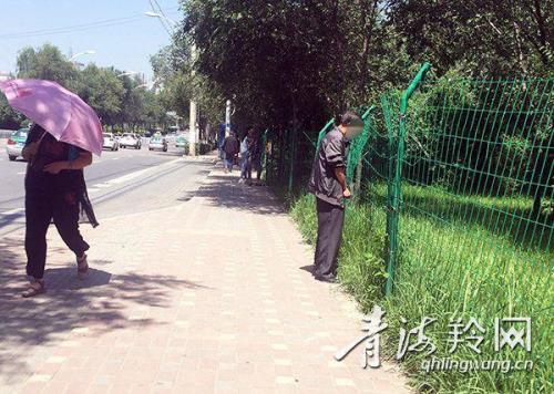 西宁市六一桥晚上安全吗
