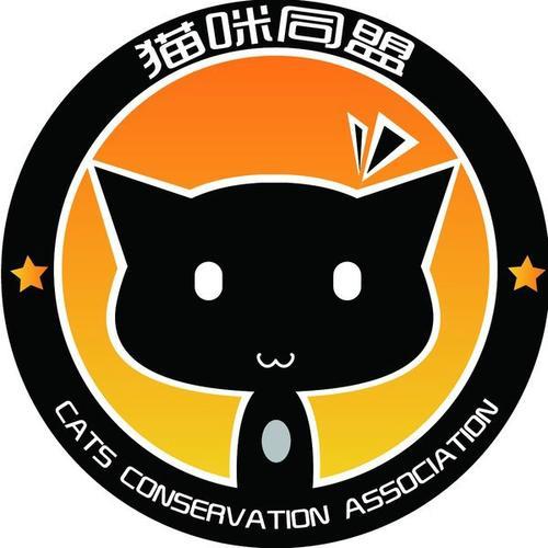 猫怀孕大概几个月才会生出小猫
