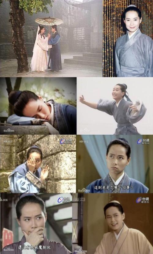 白蛇传中演许仙的人叫什么