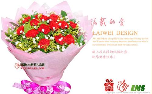 朋友生宝宝了送什么花
