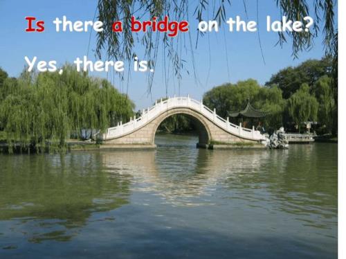 为什么Thefirst后接的是复数