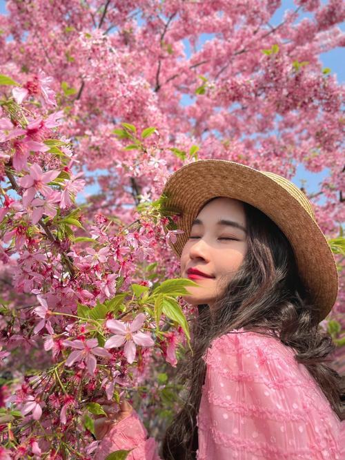 樱花的花瓣像什么形状