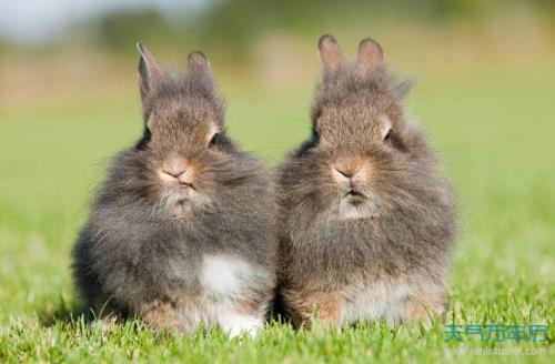 1987年的人虚岁是多大