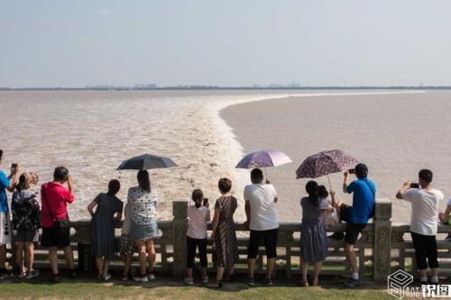 盐官观潮景区的观潮时间