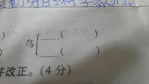 兑加个偏旁能变成什么字