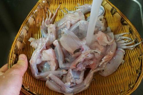 蛙皮能吃吗