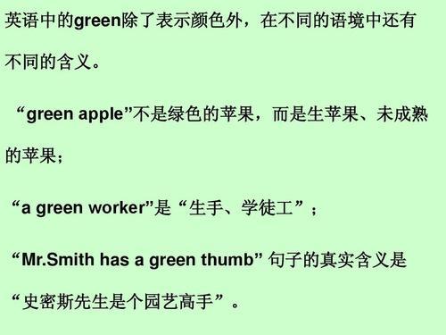 mr什么意思中文意思