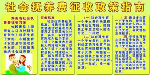 生7胎罚款多少