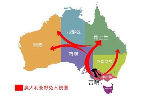 野兔怎么腌