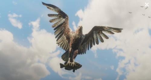 荒野大镖客2金耳环沃森屋子