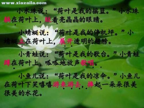 荷叶圆圆的绿绿的星星仿写句子