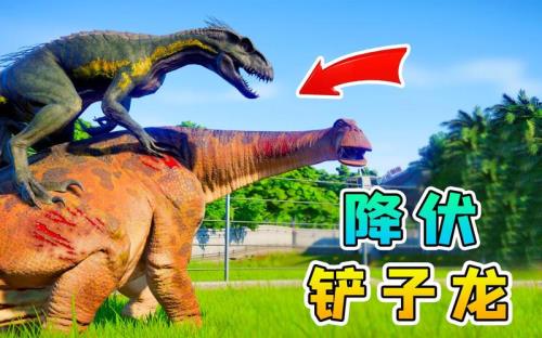 碧波龙多少层出铲子