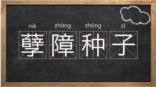 种子的读音是什么