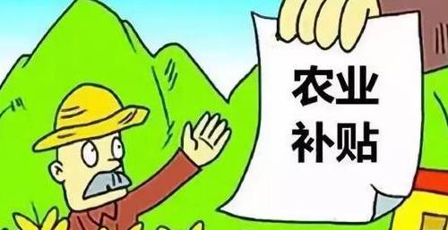 粮补发放标准是哪些