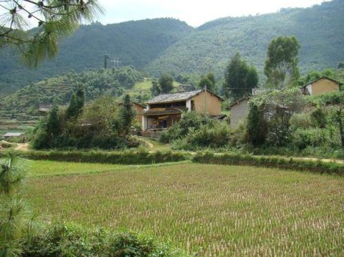 全国有多少个自然村