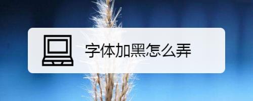 非主流字体怎么弄
