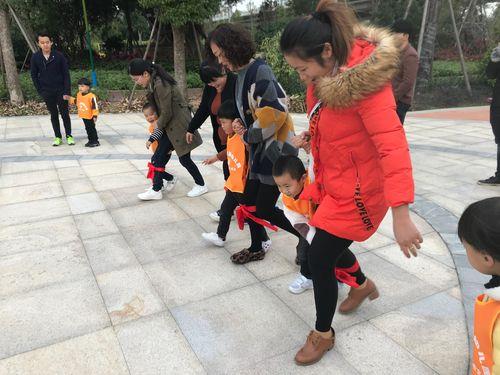 小太阳放飞能力哪个好