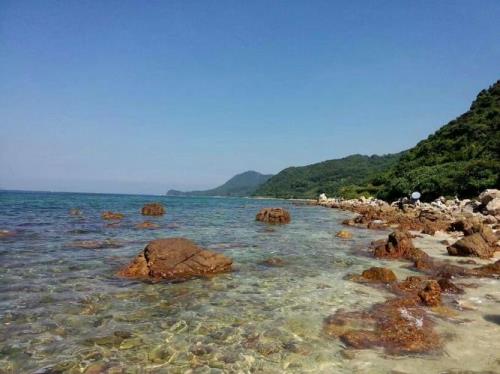 为什么叫杨梅坑