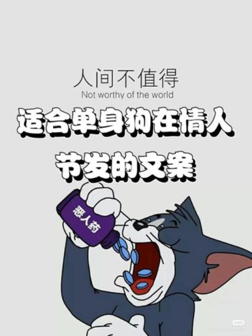 情人节单身文案短句干净治愈