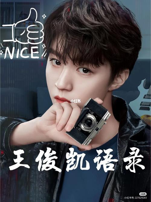 给王俊凯的新年祝福语