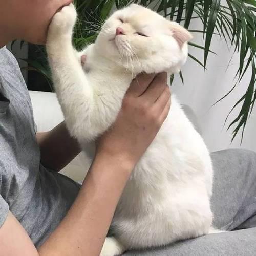 摸男生的脸他为什么不拒绝呢