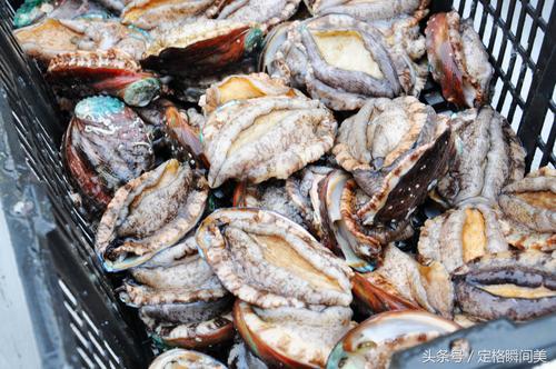 青岛哪里有卖海鲜的