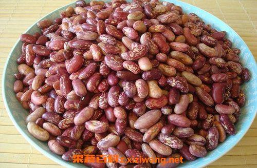 怎样发豆食豆