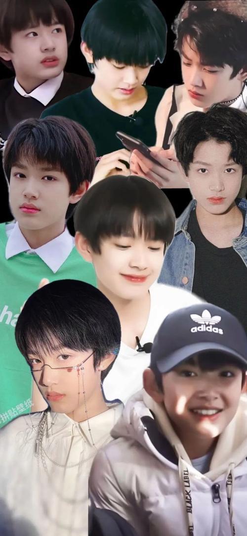 tf家族张极的粉丝名和应援色