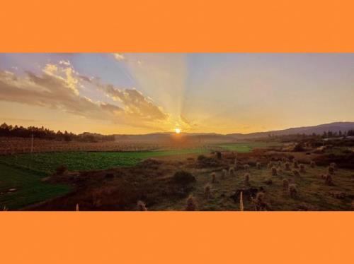 我本浪子何谈归途什么意思