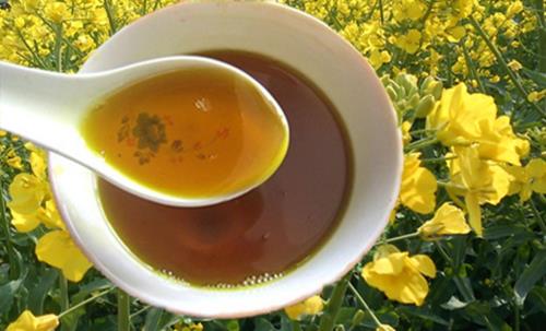 什么是菜籽油呢