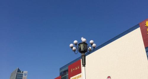 沧州市华北商厦营业时间