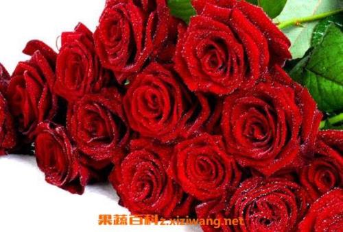 玫瑰花束怎么晒干保存