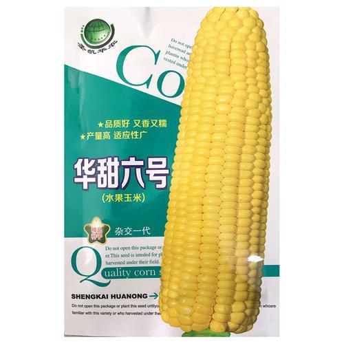 先亚737玉米种好不好