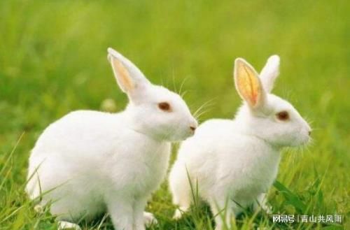 87年的，今年多大了