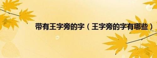 王字旁所有的字