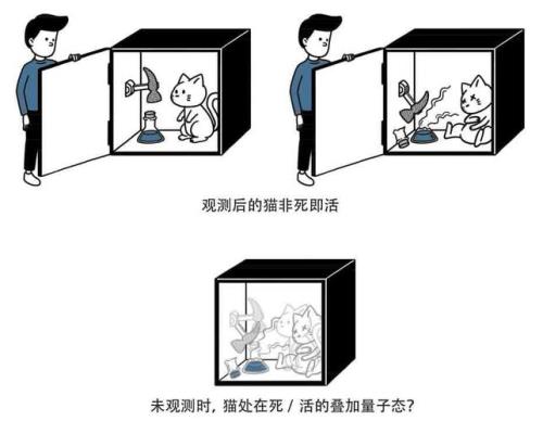 薛定谔的猫什么意思