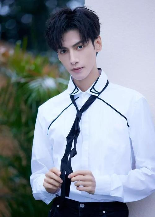 罗云熙会几种语言