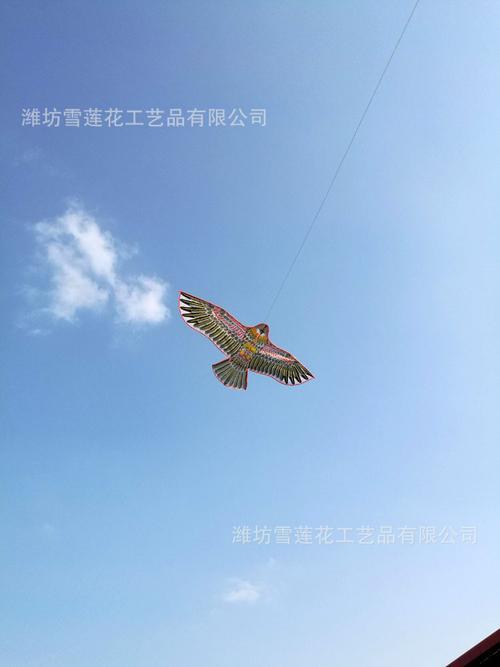 板鹰风筝和一般风筝的区别