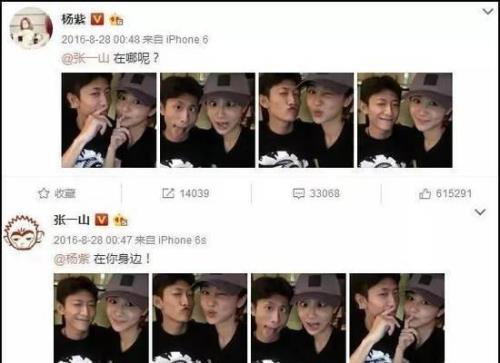 张一山和杨紫能成一对吗