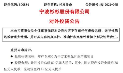 杉杉公司的现状