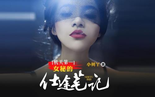 仕途天骄共多少集